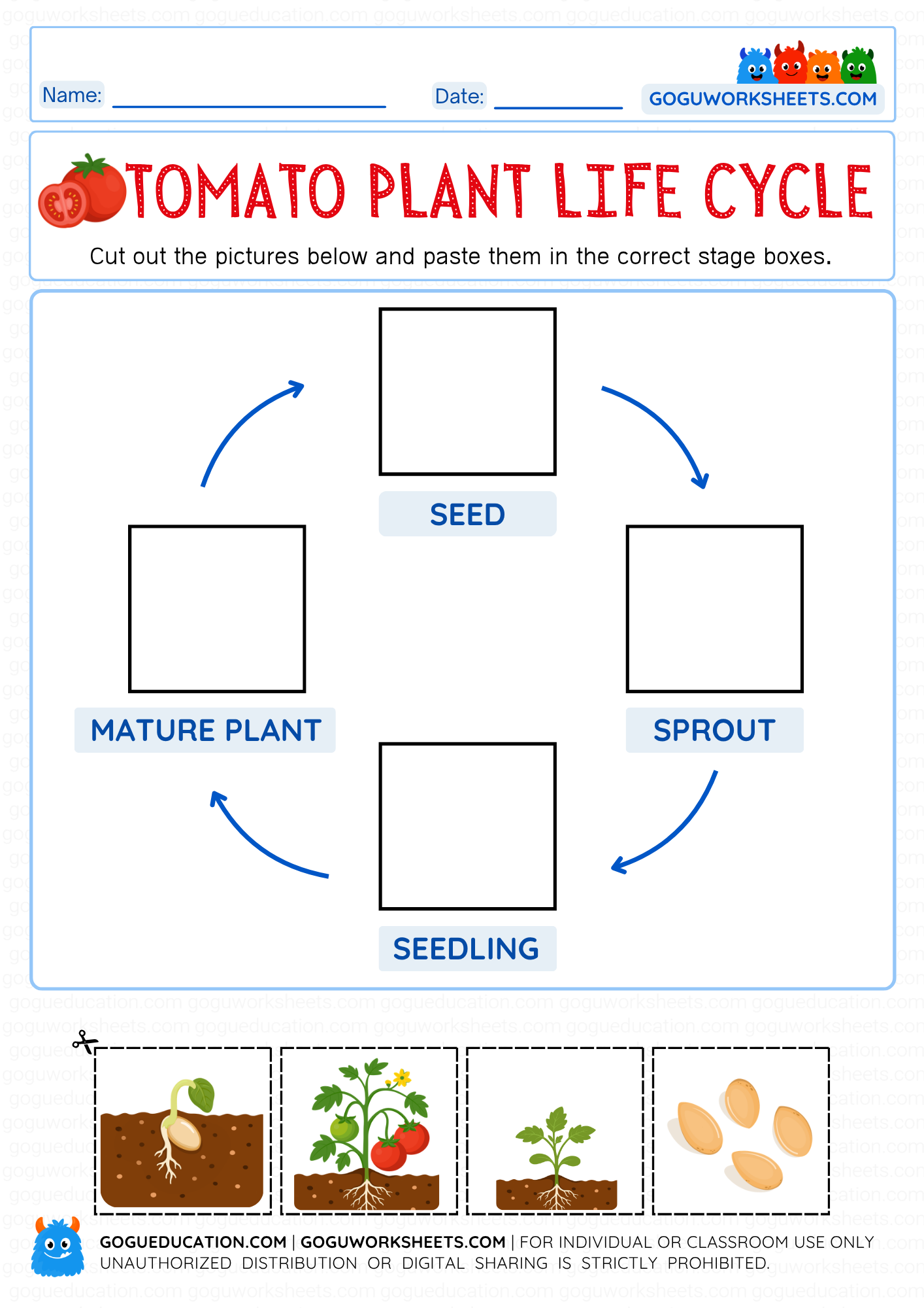Printable Science worksheet tomato plant life cycle worksheet where children cut and paste pictures of seed, sprout, seedling, and mature tomato plant in the correct order.