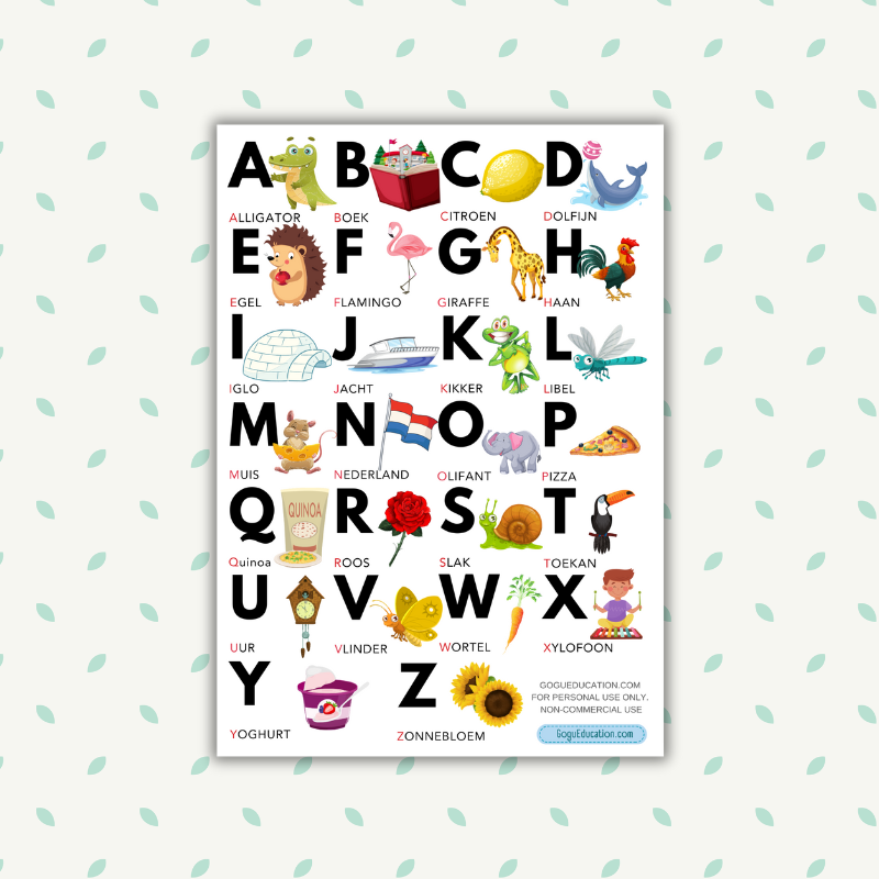 Dutch Nederlands Alphabet with Pictures and Words for Children Gogu Education