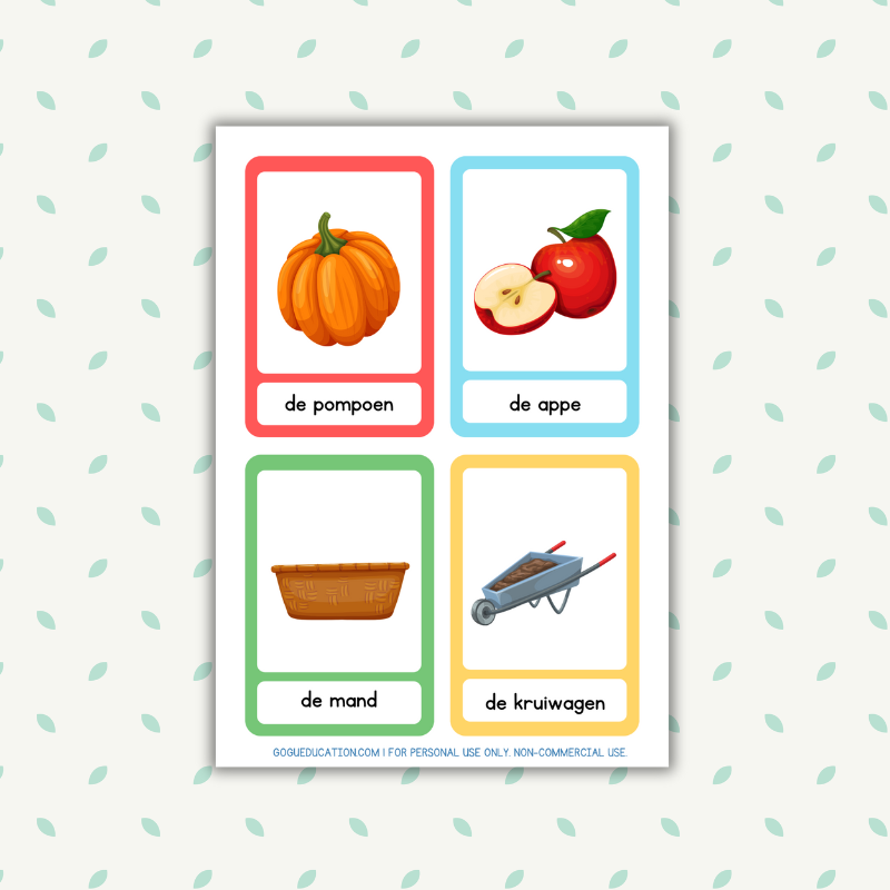 Dutch Vocabulary Herfst Woordenschat
