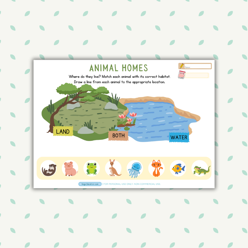 Animal Homes Worksheet