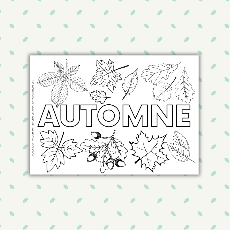 French Autumn Fall Coloring Word Automne Worksheet Gogu Education