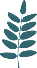 sale-leaf-2-1